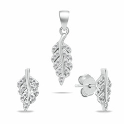 Bellissimo set di gioielli in argento con zirconi SET263W (orecchini, ciondolo)