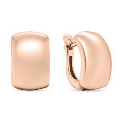 Moderni orecchini placcati in oro rosa EA673R