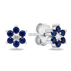 Splendidi orecchini in argento con zirconi blu EA846WB
