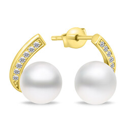 Orecchini affascinanti in argento con perle EA907Y