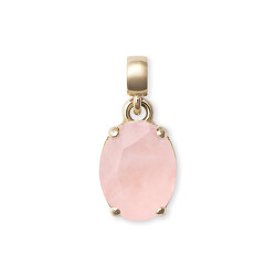 Půvabný pozlacený přívěsek s růženínem Charms DW00401459