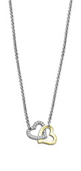 Romantický ocelový bicolor náhrdelník Woman`s Heart LS2117-1/1