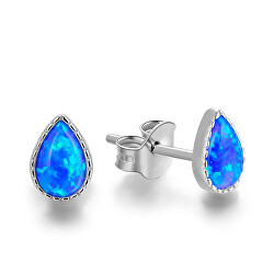 Bezaubernde Silberohrringe mit blauen Opalen E0002748