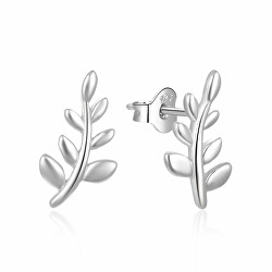 Bezaubernde längliche Ohrringe aus Silber E0002417