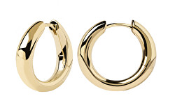 vergoldete Ohrringe Kreise  PIROUETTE Gold AR01-473-U
