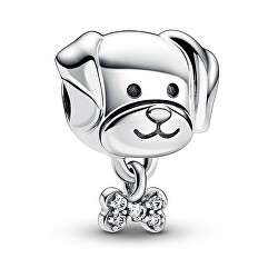 Verspielte Perle Hund mit Knochen Moments 792254C01