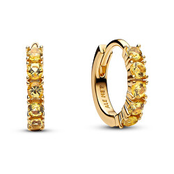 Pozlacené kruhy se žlutými krystaly Timeless Shine 263849C01