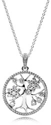 Stříbrný náhrdelník Rodokmen 390384CZ-80 (řetízek, přívěsek)