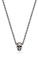 Módní pánský náhrdelník s lebkou Talisman PEAGN2120211