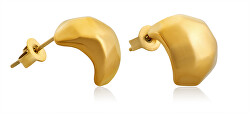 Moderne vergoldete Ohrringe VAAXF184G
