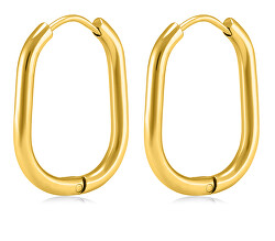 Zeitlose vergoldete ovale Ohrringe VAAJDE201253-2-G