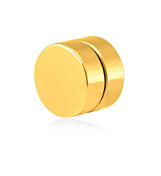 Vergoldeter magnetischer Single-Ohrring 2in1 (Ohrstecker, Minibrosche) VSE6018G-PET