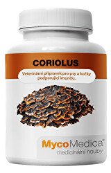 Coriolus 90 kapslí