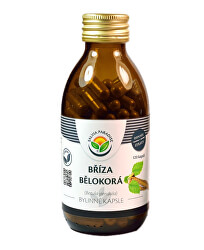 Bříza bělokorá kapsle