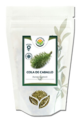 Cola de Caballo - Přeslička obří