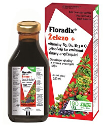 Floradix Železo+ 250 ml
