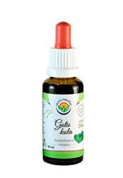 Gotu kola - Pupečník AF tinktura