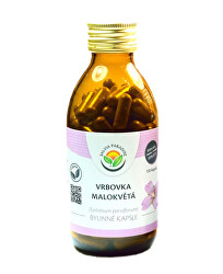 Vrbovka malokvětá kapsle