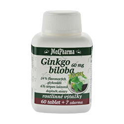 Ginkgo biloba 60 mg Forte 60 tbl. + 7 tbl. ZD ARMA