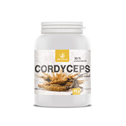 Cordyceps 100 kapsulí