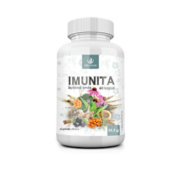 Imunita bylinný extrakt 60 pastilek