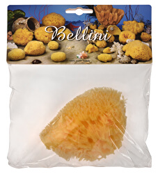 Přírodní mořská houba – Středomořská – HONEYCOMB – SVĚTLÁ