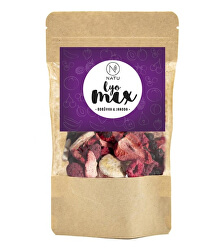 Lyo mix borůvka & jahoda 35 g