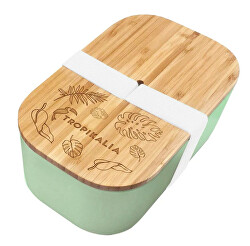 Lunch box L s oddělovačem - Mint