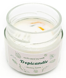 Tropicandle - Blooming jasmine