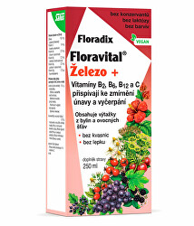 Floradix Floravital Železo+ 250 ml