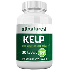 Kelp 500 mg 30 tablet