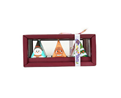 Dárková kolekce Santa 12 pyramidek BIO