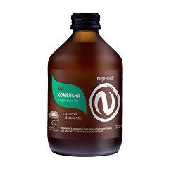 Kombucha Cucumber & Coriander 330 ml BIO