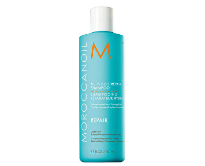 Regenerační šampon s obsahem arganového oleje na slabé a poškozené vlasy (Moisture Repair Shampoo)