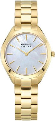 Bering - Solar 17331-734