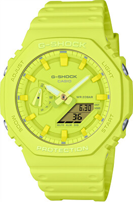 Casio - G-SHOCK Tone-on-Tone GA-2100-9A9ER (619)