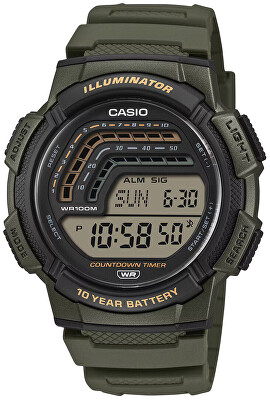 Casio - Sport WS-1800-3AVEF (668)