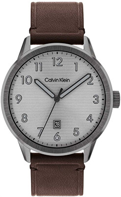 Calvin Klein - Minimalistic Pilot 25200519