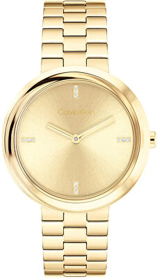 Calvin Klein - Twisted Bezel 25100094