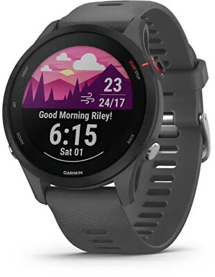 Garmin - Forerunner 255 Slate Gray 010-02641-10