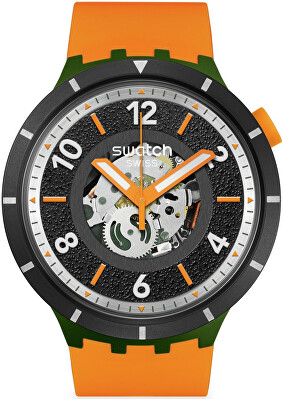 Swatch - Fall-iage SB03G107