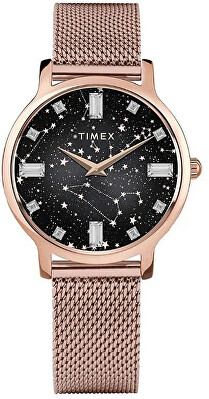 Timex - Transcend TW2V52100