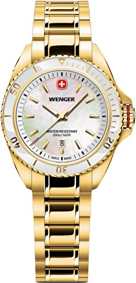 Wenger - Executive 01.2021.105