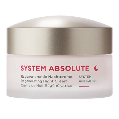 ANNEMARIE BORLIND - Noční krém SYSTEM ABSOLUTE System Anti-Aging (Regenerating Night Cream) 50 ml