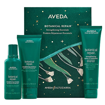 Aveda - Dárková sada vlasové péče Botanical Repair