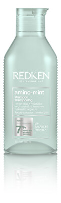 Redken - Čisticí šampon pro citlivou pokožku a rychle se mastící vlasy Amino Mint (Shampoo)