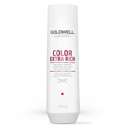 Goldwell - Šampon pro extra péči o barvené vlasy Dualsenses Color Extra Rich (Brilliance Shampoo)