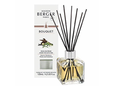 Maison Berger Paris - Aroma difuzér Cube Pod olivovníkem Under the Olive Tree 125 ml