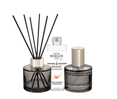 Maison Berger Paris - Dárková sada aroma difuzér Rosalie šedý + náplň a bytový sprej Intenzivní třpyt