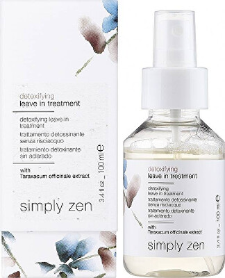 Simply Zen - Bezoplachová detoxikační kúra Detoxifying (Leave In Treatment) 100 ml
